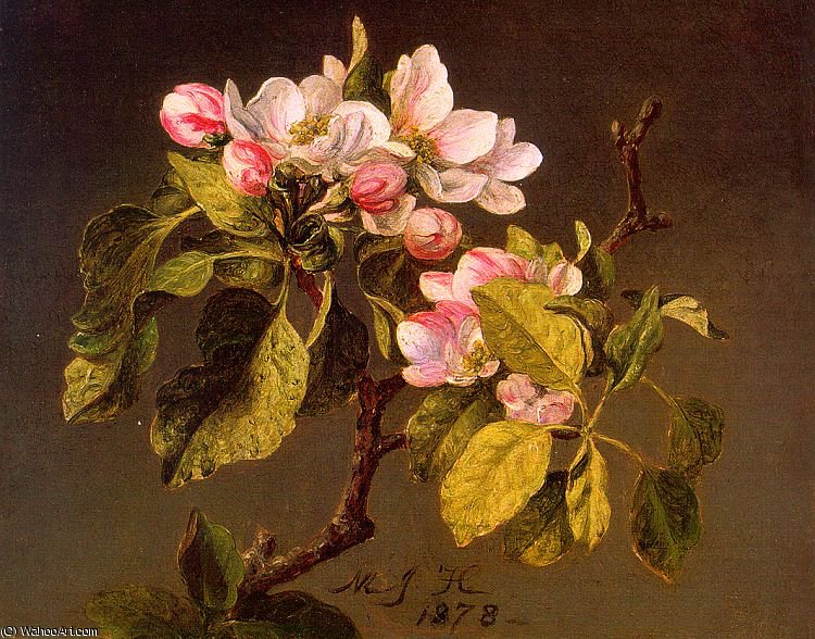 WikiOO.org - Encyclopedia of Fine Arts - Malba, Artwork Martin Johnson Heade - apple blossoms
