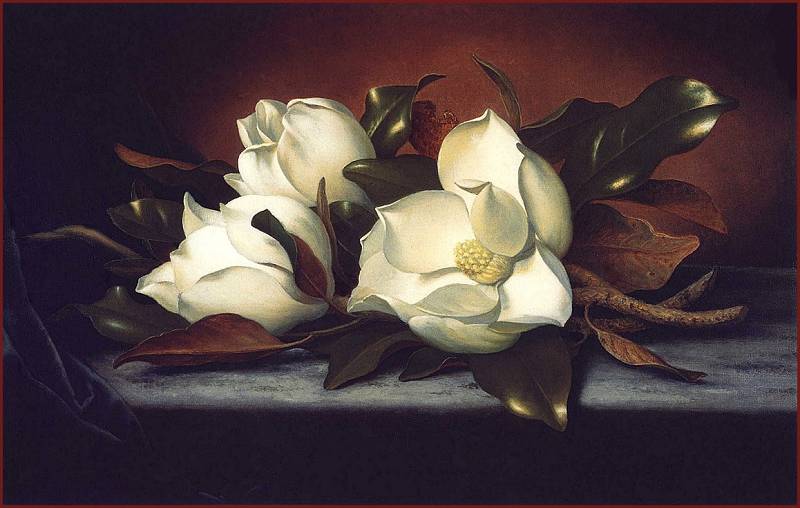 Wikioo.org - The Encyclopedia of Fine Arts - Painting, Artwork by Martin Johnson Heade - giant magnolias
