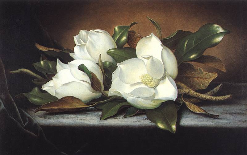 WikiOO.org - אנציקלופדיה לאמנויות יפות - ציור, יצירות אמנות Martin Johnson Heade - giant magnolias