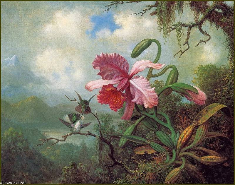 Wikioo.org - The Encyclopedia of Fine Arts - Painting, Artwork by Martin Johnson Heade - Orchid&Hummingbird Near Mtn Lake