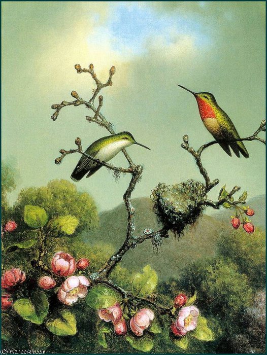Wikioo.org - The Encyclopedia of Fine Arts - Painting, Artwork by Martin Johnson Heade - RubyThroat of North America