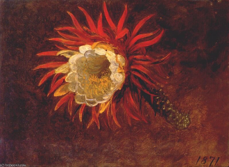 Wikioo.org - The Encyclopedia of Fine Arts - Painting, Artwork by Martin Johnson Heade - study of a yellow flower