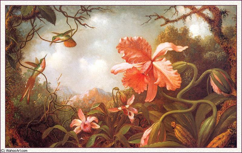Wikioo.org - The Encyclopedia of Fine Arts - Painting, Artwork by Martin Johnson Heade - two hummingbirds and two varieties of orchids
