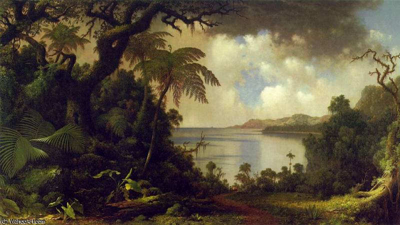 Wikioo.org - The Encyclopedia of Fine Arts - Painting, Artwork by Martin Johnson Heade - View from Fern Tree Walk Jamaica