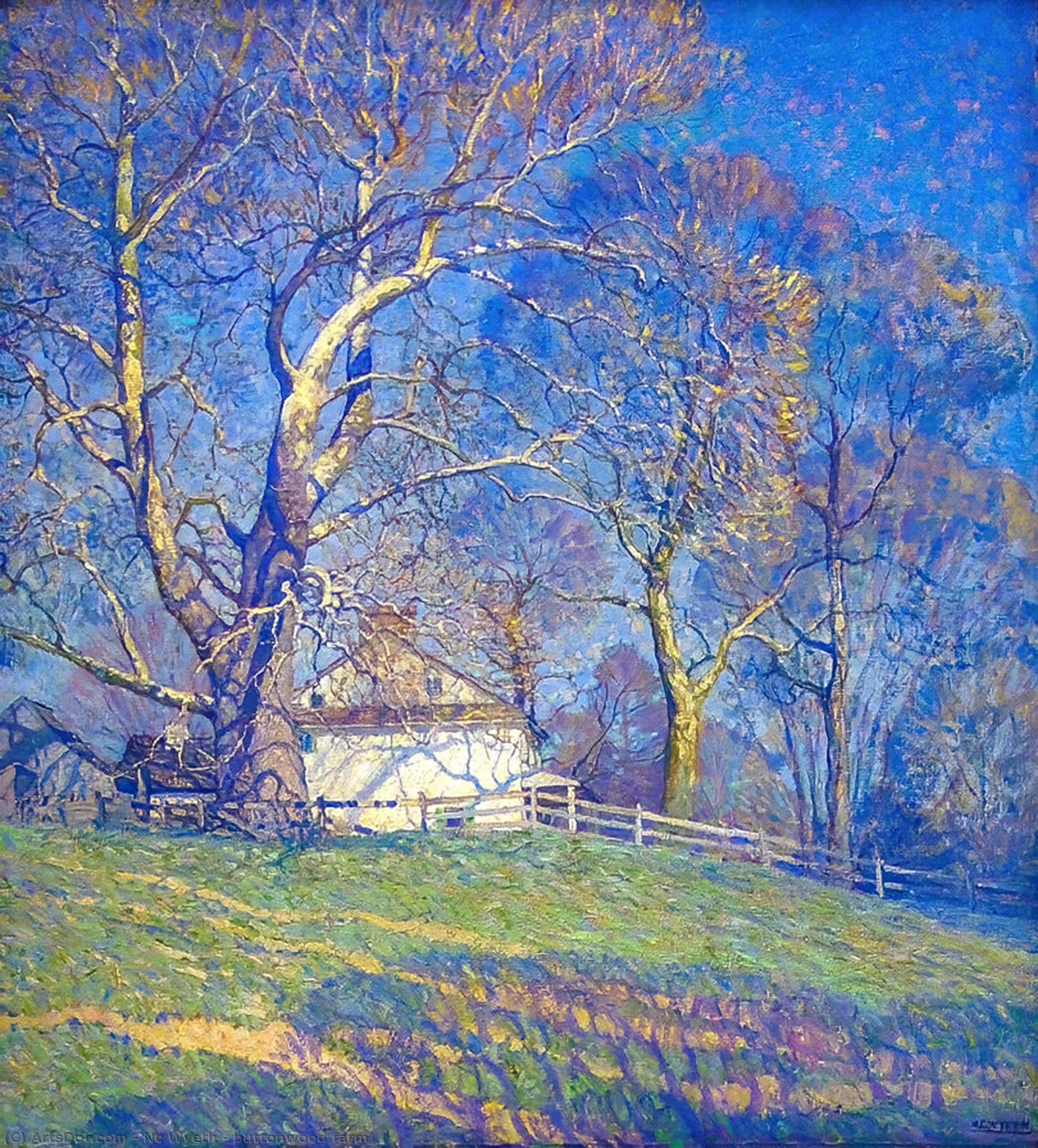 WikiOO.org - دایره المعارف هنرهای زیبا - نقاشی، آثار هنری Nc Wyeth - buttonwood farm