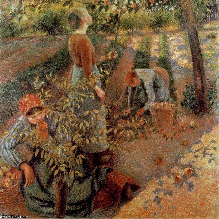 Wikioo.org - The Encyclopedia of Fine Arts - Painting, Artwork by Camille Pissarro - apple picking.