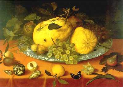 Wikioo.org - The Encyclopedia of Fine Arts - Painting, Artwork by Balthasar Van Der Ast - Mauritshuis