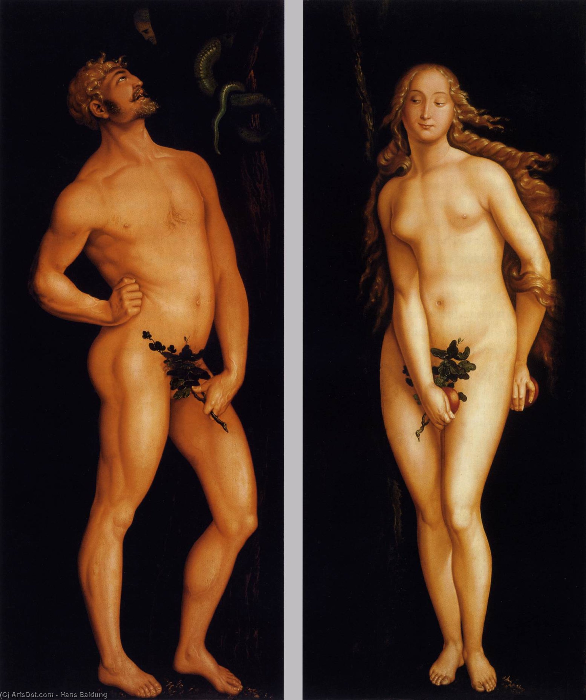 WikiOO.org - Encyclopedia of Fine Arts - Lukisan, Artwork Hans Baldung - Adam and Eve