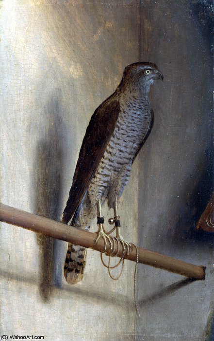 Wikioo.org - The Encyclopedia of Fine Arts - Painting, Artwork by Jacopo De Barbari - A sparrowhawk