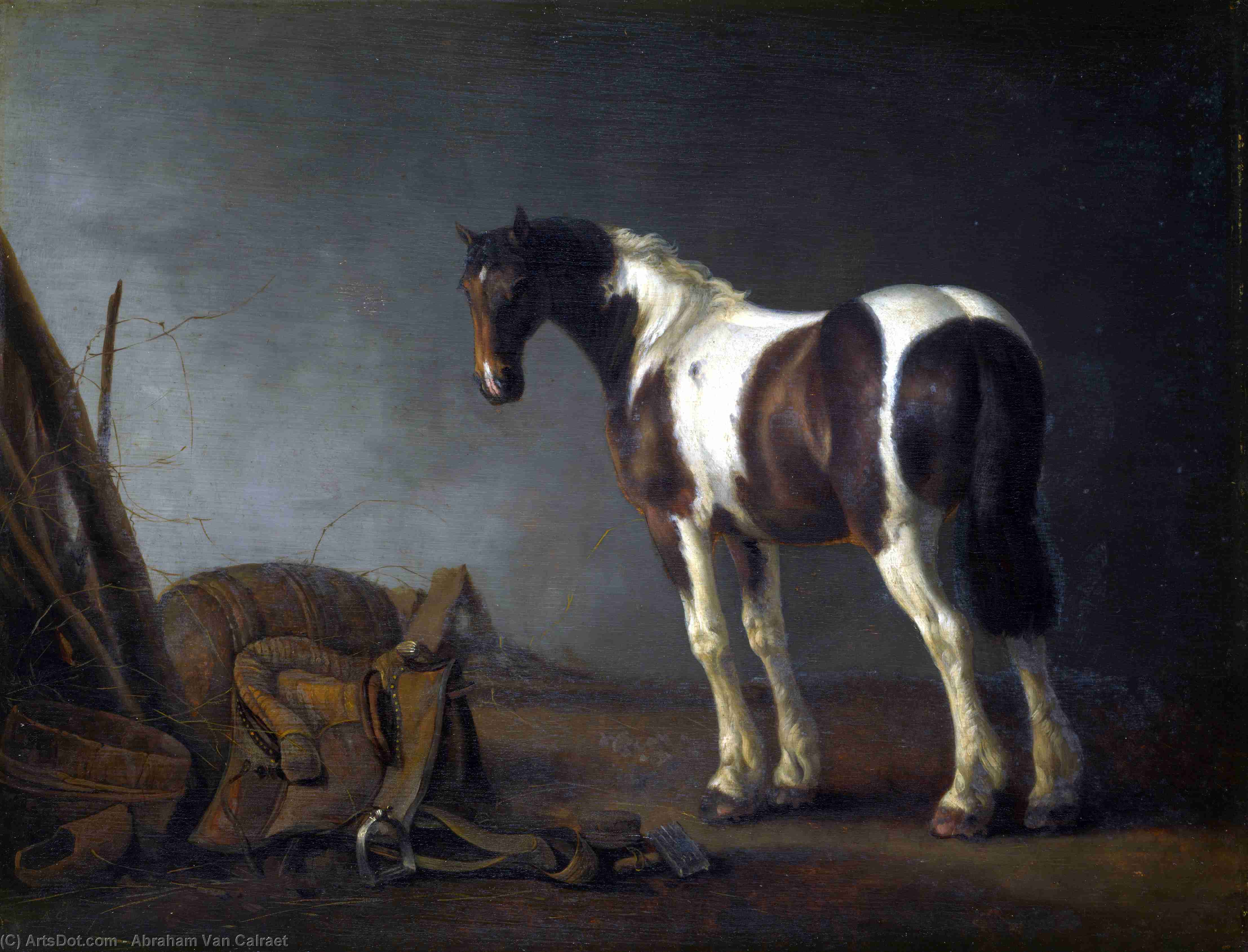 Wikioo.org – La Enciclopedia de las Bellas Artes - Pintura, Obras de arte de Abraham Pietersz Van Calraet - un caballo enestado  Un  Sillín  cercade  ello