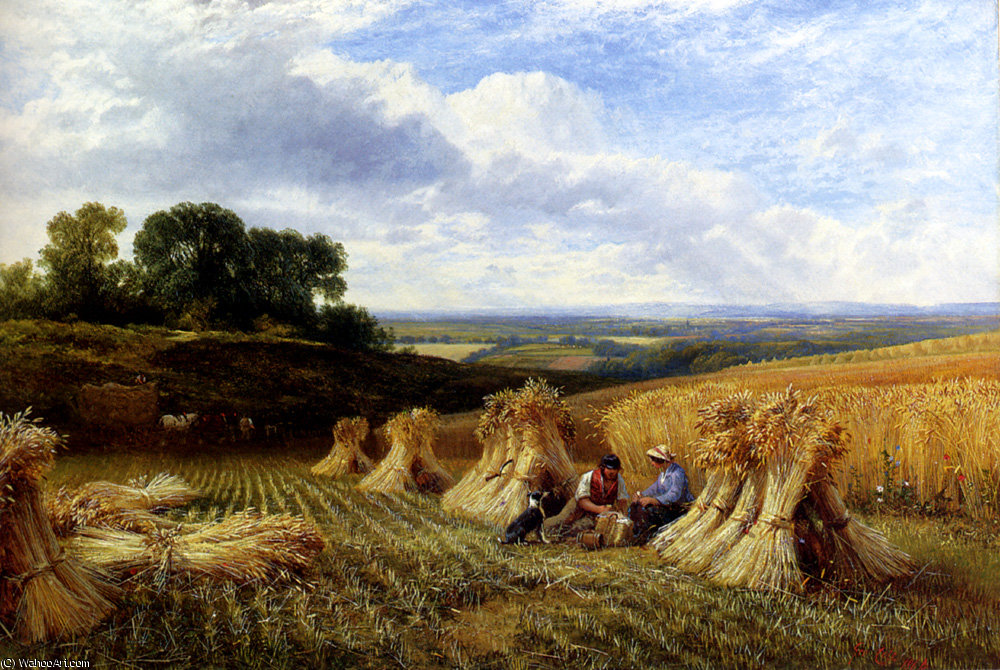Wikioo.org - The Encyclopedia of Fine Arts - Painting, Artwork by George Cole Senior - Harvest field