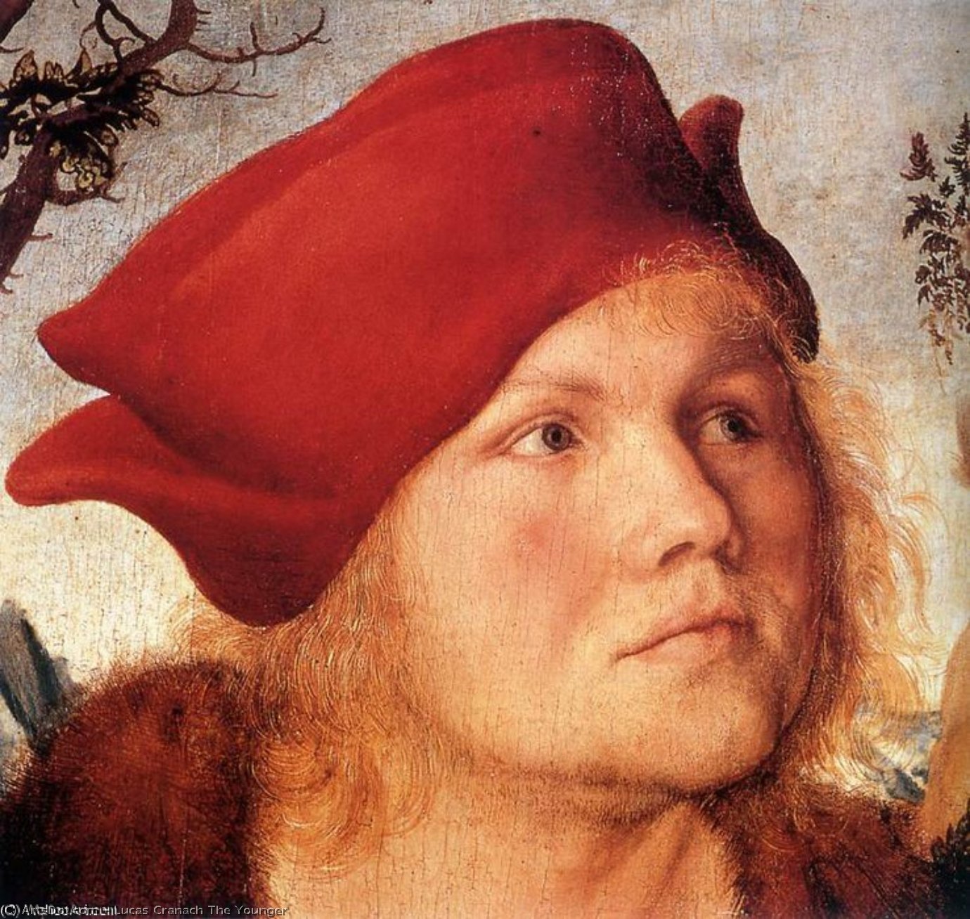 Wikioo.org - The Encyclopedia of Fine Arts - Painting, Artwork by Lucas Cranach The Younger - Portrait of Johannes Cuspinian d -