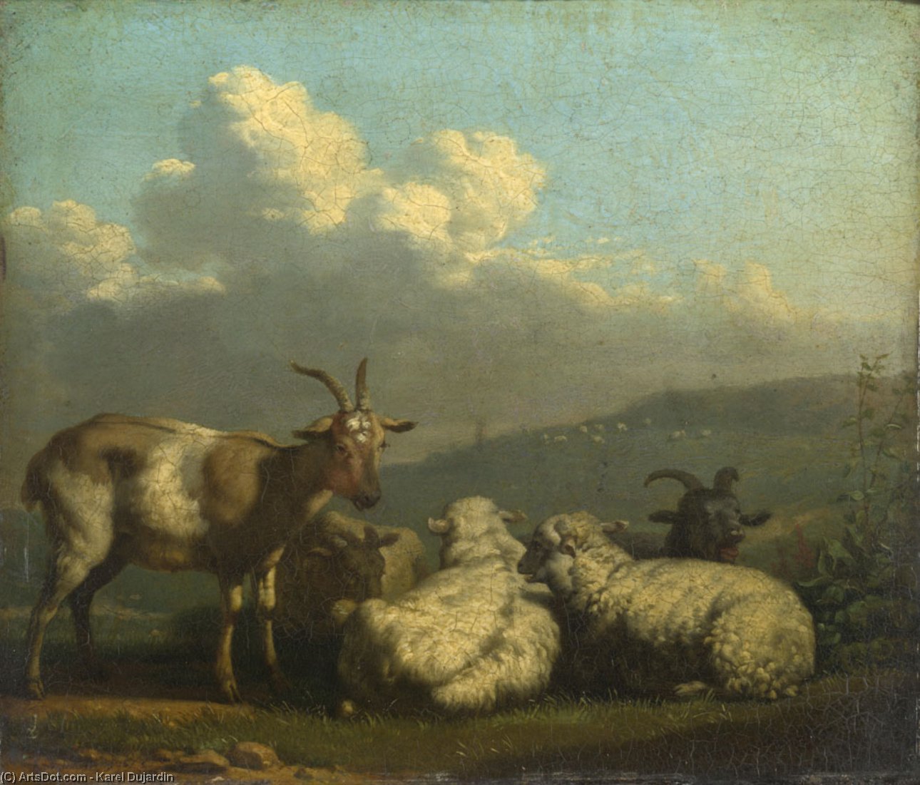 Wikoo.org - موسوعة الفنون الجميلة - اللوحة، العمل الفني Karel Dujardin - Sheep and Goats