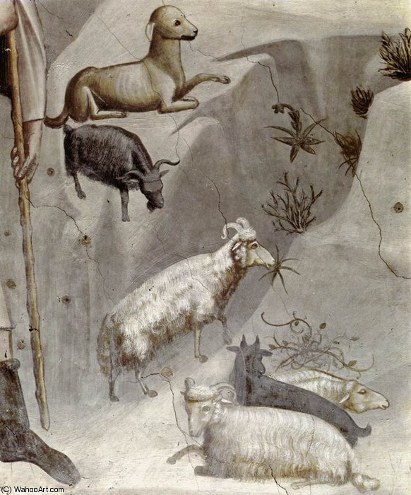 WikiOO.org - Εγκυκλοπαίδεια Καλών Τεχνών - Ζωγραφική, έργα τέχνης Giotto Di Bondone - joachim's dream (detail)