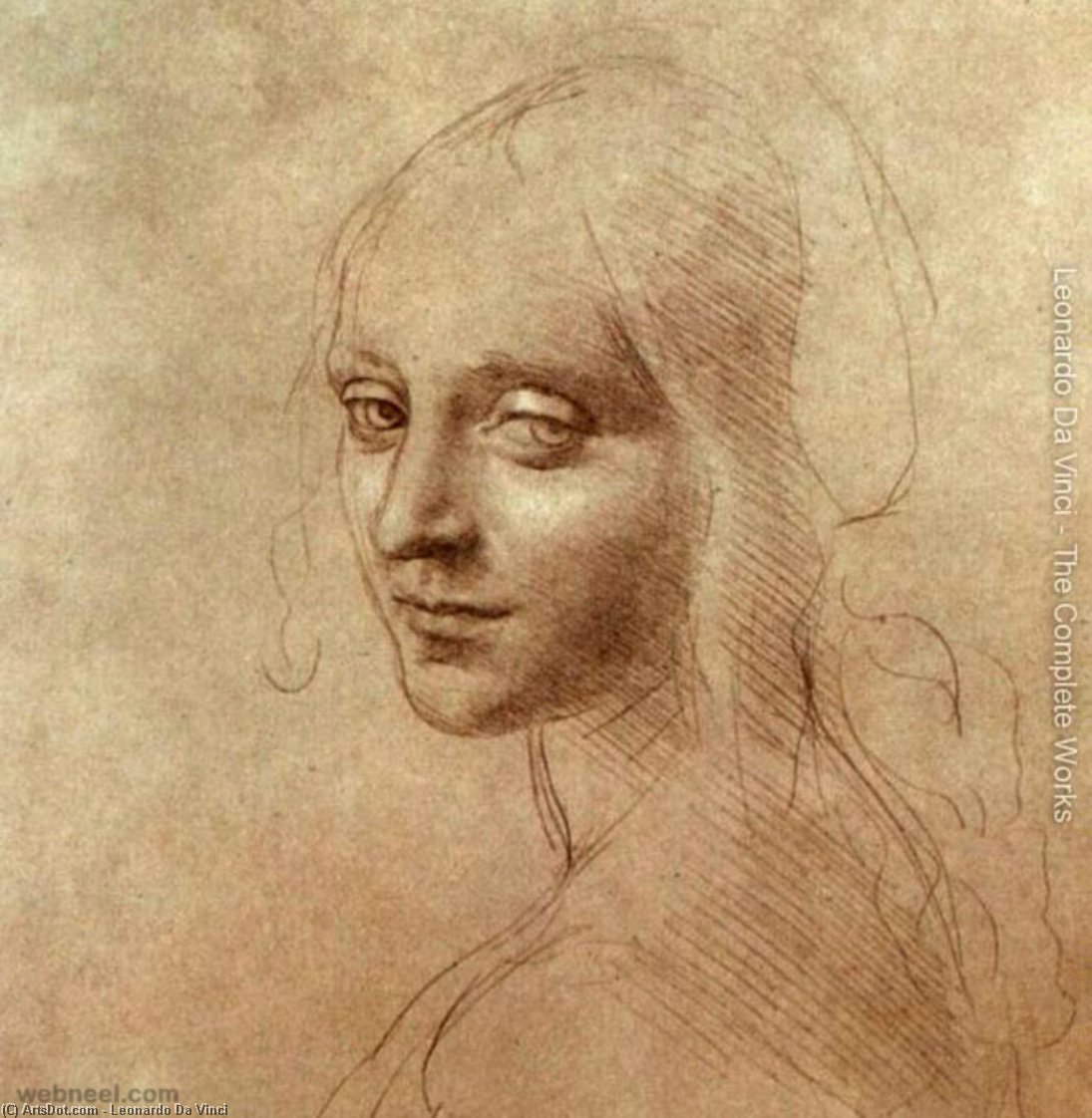Wikioo.org - The Encyclopedia of Fine Arts - Painting, Artwork by Leonardo Da Vinci - Drawing of the face of the angel from The Virgin of the Rocks
