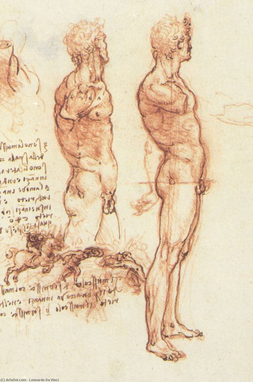 Wikioo.org - The Encyclopedia of Fine Arts - Painting, Artwork by Leonardo Da Vinci - Male anatomy