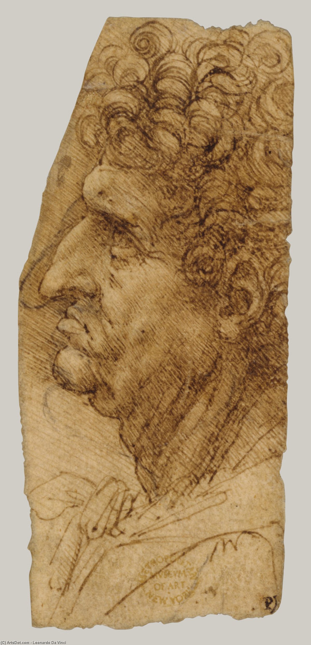 Wikioo.org - The Encyclopedia of Fine Arts - Painting, Artwork by Leonardo Da Vinci - Perfil de hombre