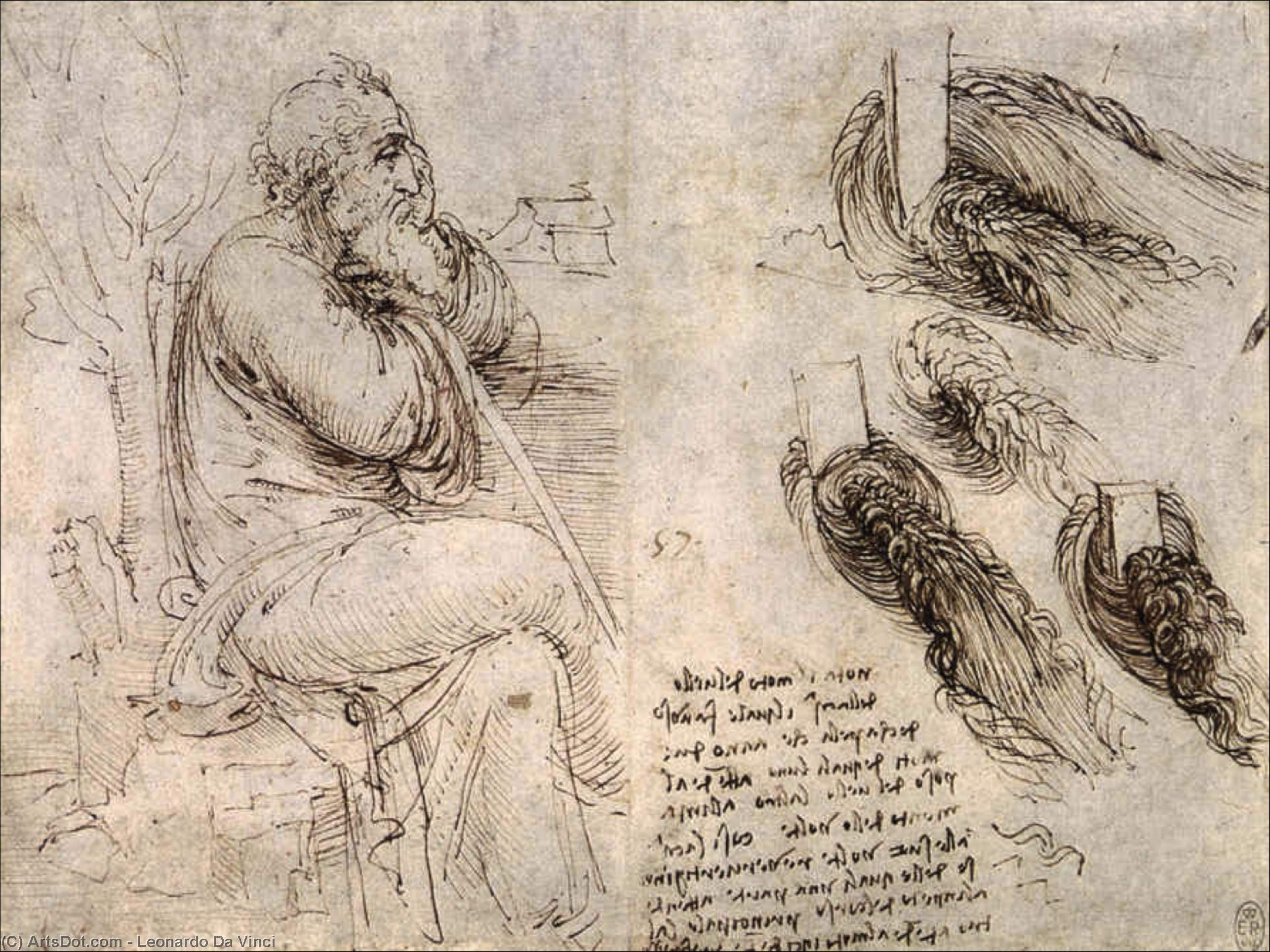Wikioo.org - The Encyclopedia of Fine Arts - Painting, Artwork by Leonardo Da Vinci - Study of an old man - study of water