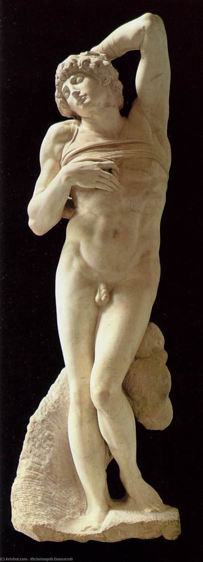 Wikioo.org - สารานุกรมวิจิตรศิลป์ - จิตรกรรม Michelangelo Buonarroti - Pope Julius II - Slave (dying)2