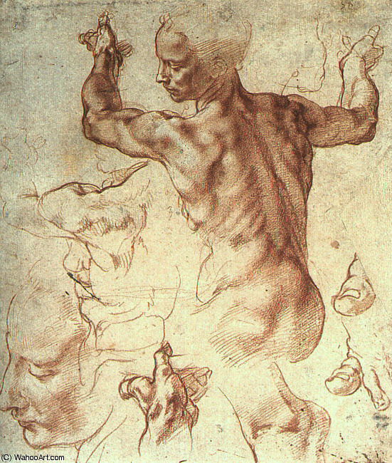 Wikioo.org - The Encyclopedia of Fine Arts - Painting, Artwork by Michelangelo Buonarroti - The Libyan Sibyl, study