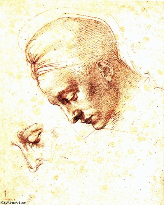 Wikioo.org – L'Enciclopedia delle Belle Arti - Pittura, Opere di Michelangelo Buonarroti - -  studiare  di  Un  Capo