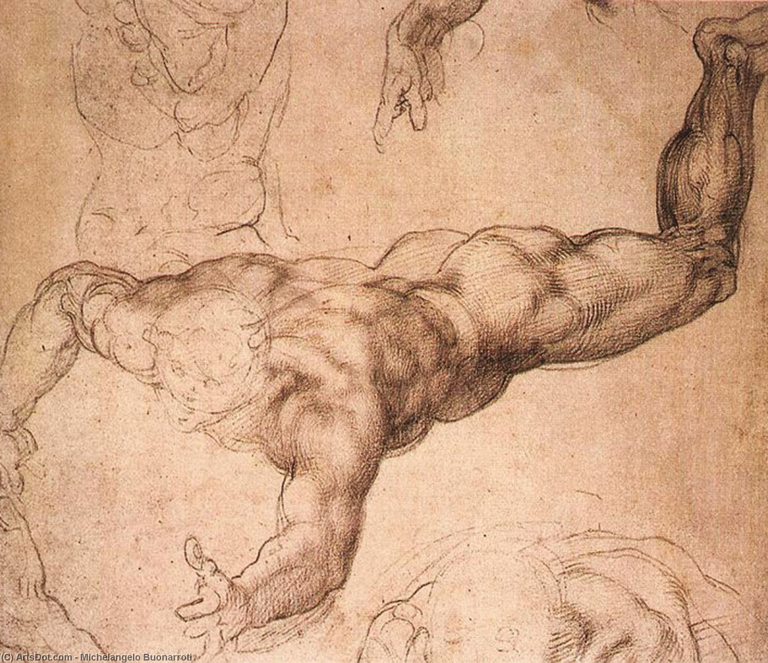 Wikioo.org - Encyklopedia Sztuk Pięknych - Malarstwo, Grafika Michelangelo Buonarroti - Sistine Chapel-Male Figure