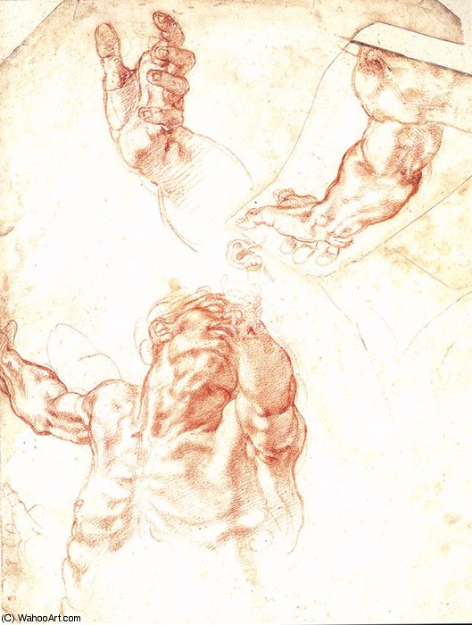 WikiOO.org - Encyclopedia of Fine Arts - Maleri, Artwork Michelangelo Buonarroti - Sistine Chapel-Study for Haman