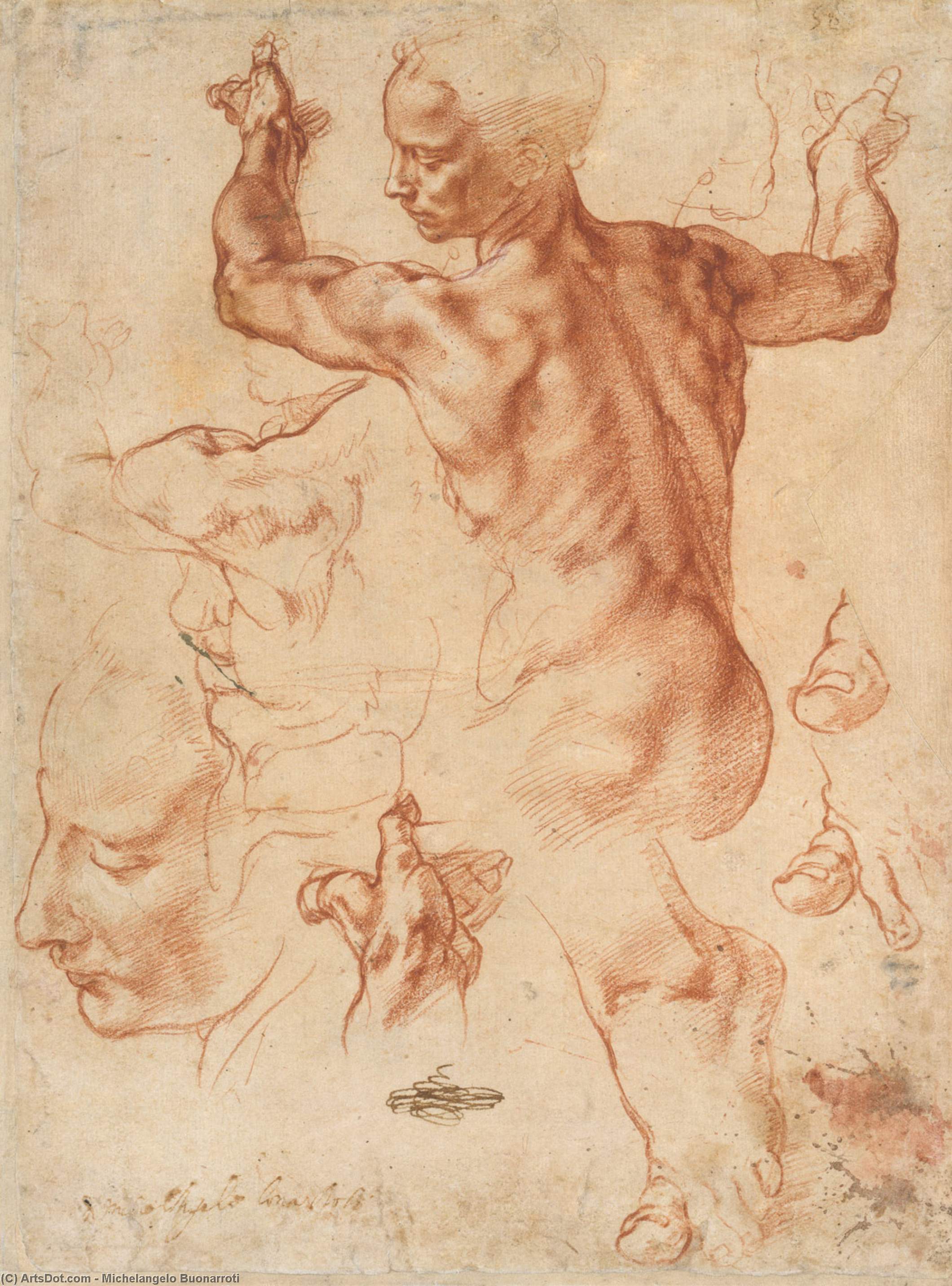WikiOO.org - Εγκυκλοπαίδεια Καλών Τεχνών - Ζωγραφική, έργα τέχνης Michelangelo Buonarroti - Sistine Chapel-Study for the Libyan Sibyl