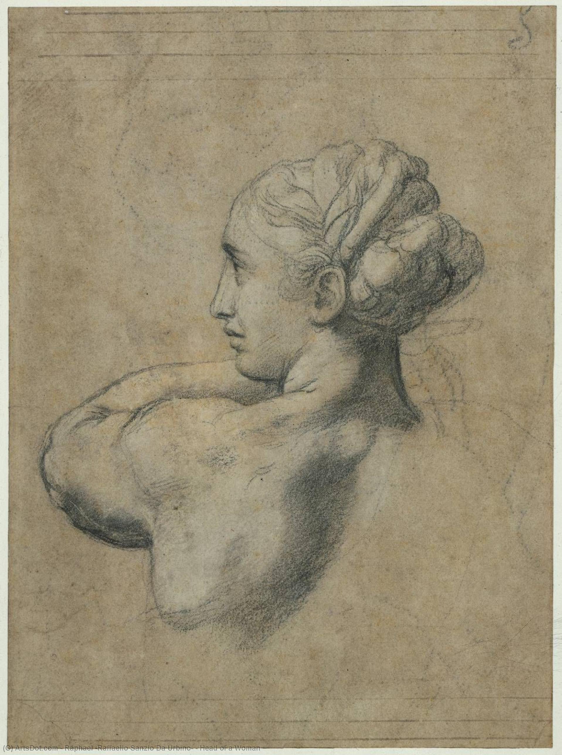 Wikioo.org - The Encyclopedia of Fine Arts - Painting, Artwork by Raphael (Raffaello Sanzio Da Urbino) - Head of a Woman