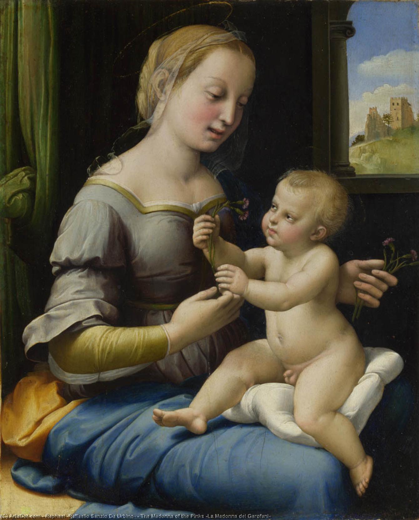 Wikioo.org - The Encyclopedia of Fine Arts - Painting, Artwork by Raphael (Raffaello Sanzio Da Urbino) - The Madonna of the Pinks (La Madonna dei Garofani)