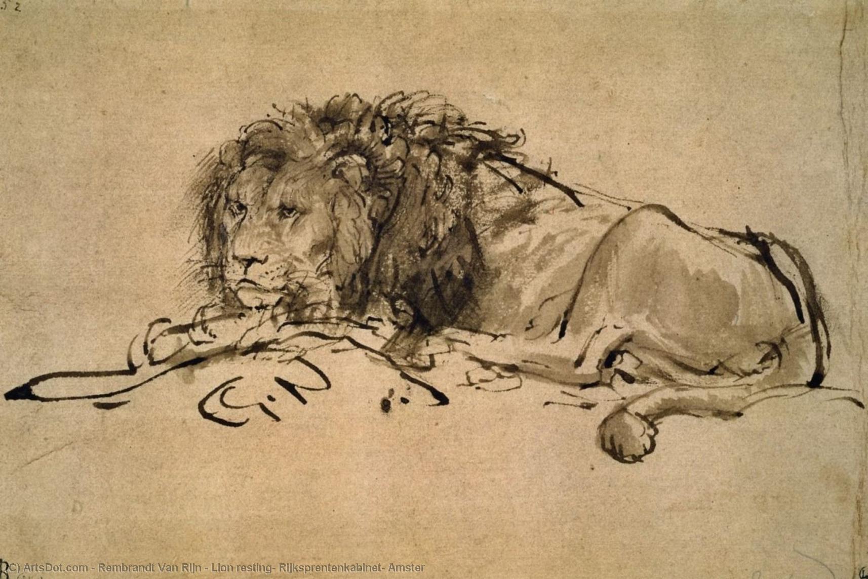 WikiOO.org - Εγκυκλοπαίδεια Καλών Τεχνών - Ζωγραφική, έργα τέχνης Rembrandt Van Rijn - Lion resting, Rijksprentenkabinet, Amster