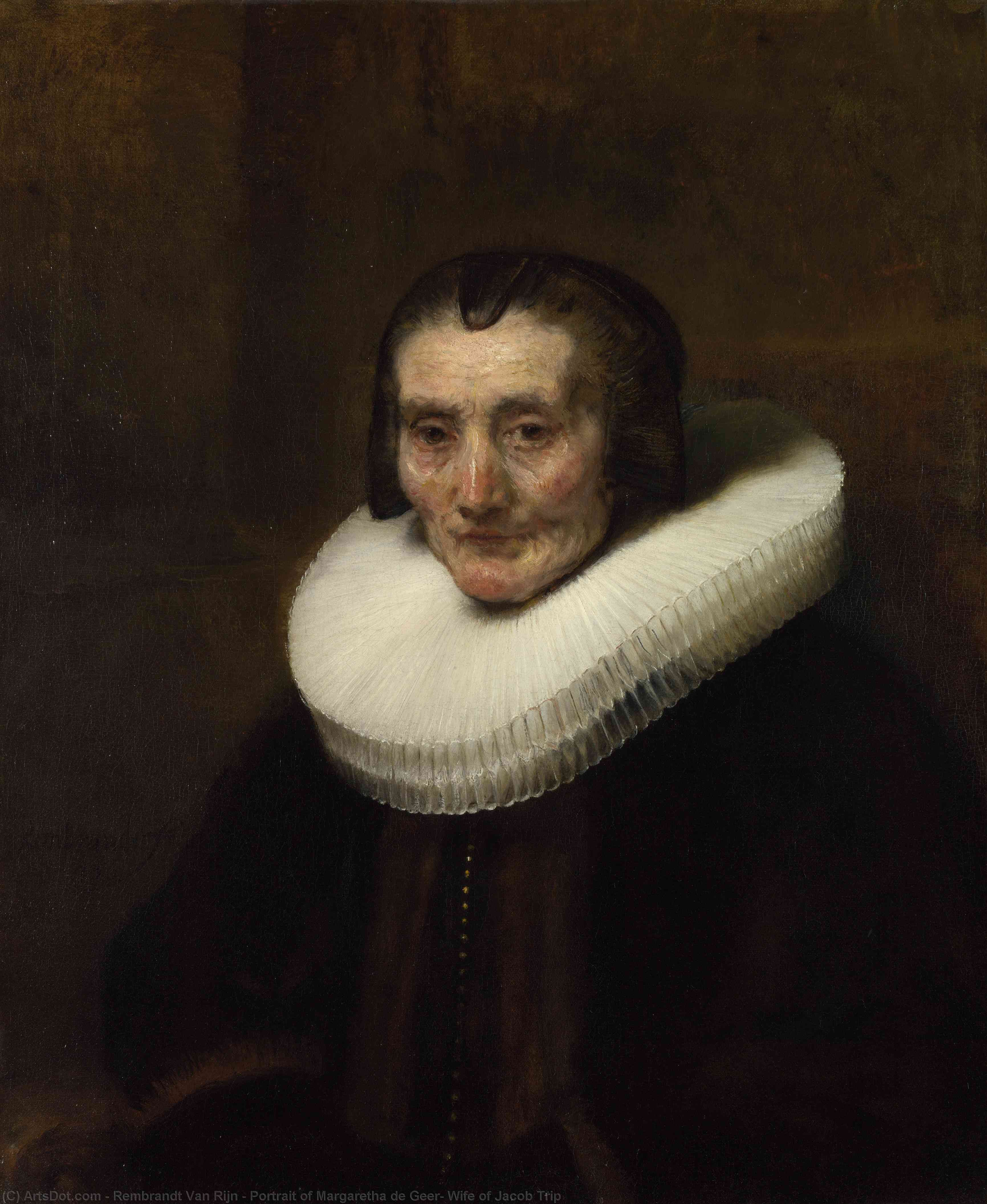 Wikioo.org - The Encyclopedia of Fine Arts - Painting, Artwork by Rembrandt Van Rijn - Portrait of Margaretha de Geer, Wife of Jacob Trip