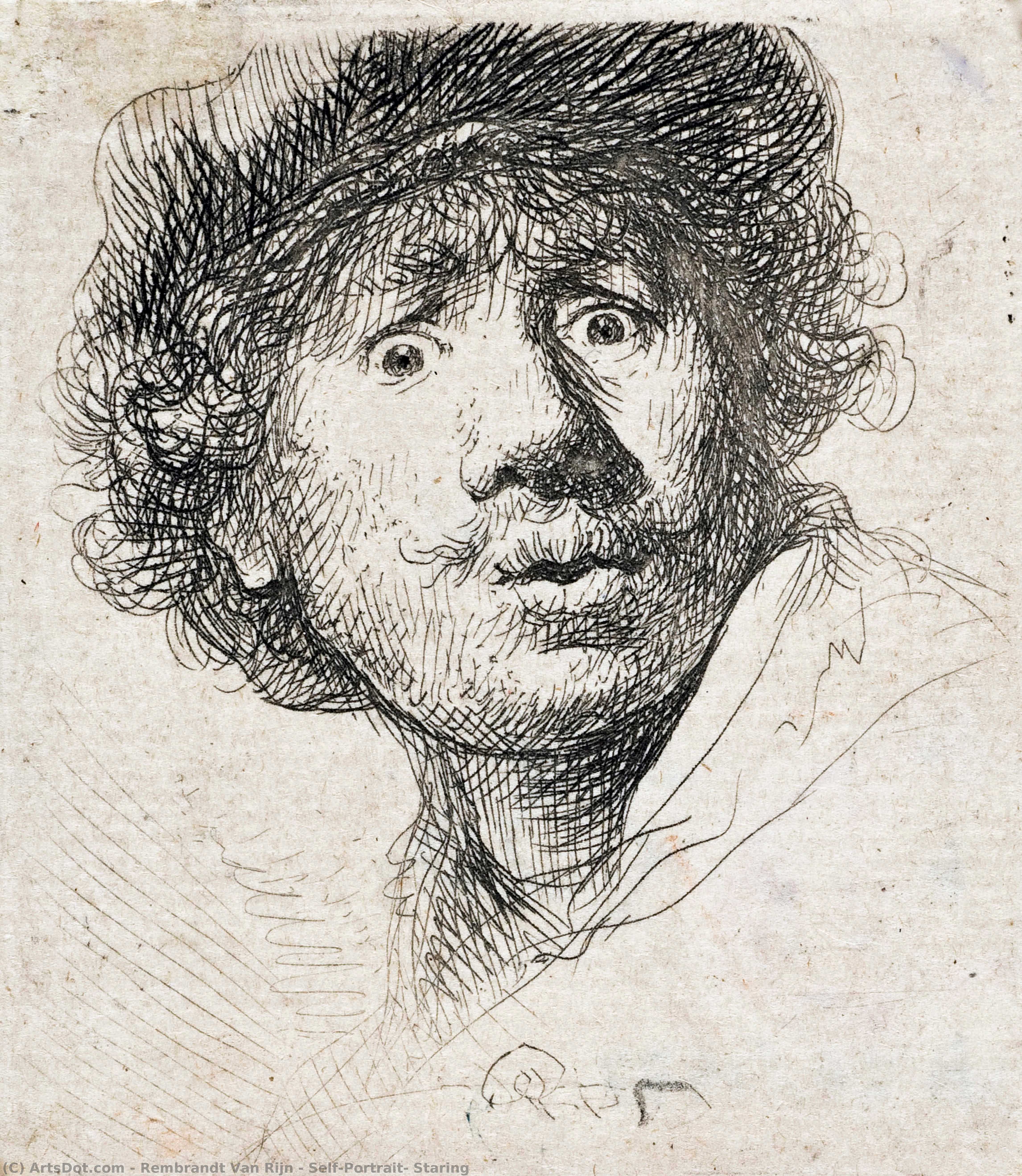 Wikioo.org - The Encyclopedia of Fine Arts - Painting, Artwork by Rembrandt Van Rijn - Self-Portrait, Staring