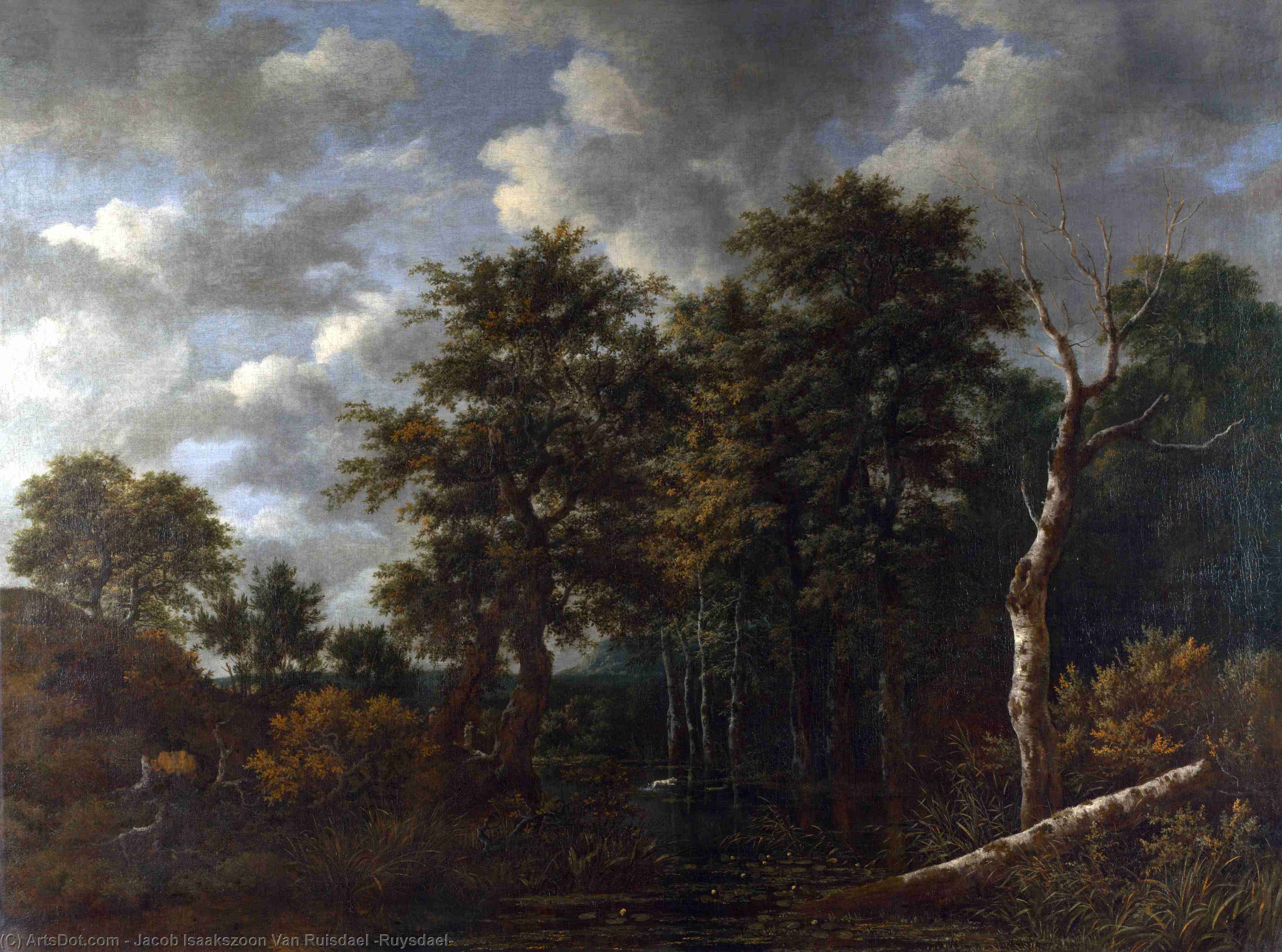 Wikioo.org – La Enciclopedia de las Bellas Artes - Pintura, Obras de arte de Jacob Isaakszoon Van Ruisdael (Ruysdael) - Un charco  rodeado  apropósito  árboles