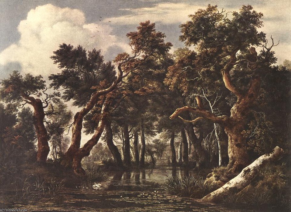 WikiOO.org - Encyclopedia of Fine Arts - Lukisan, Artwork Jacob Isaakszoon Van Ruisdael (Ruysdael) - The Marsh in a Forest