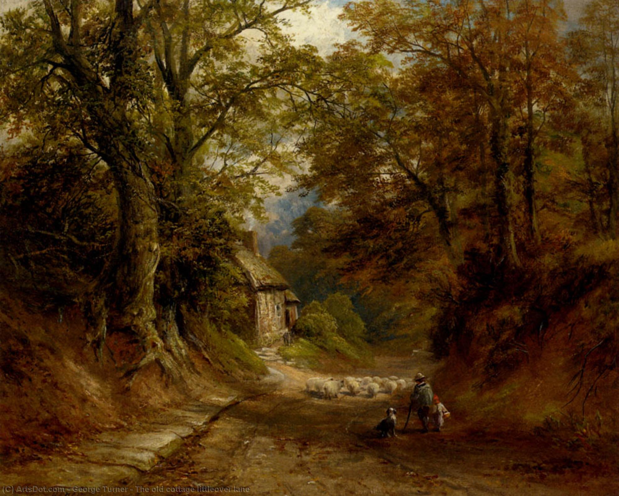 WikiOO.org - Encyclopedia of Fine Arts - Maleri, Artwork George Turner - The old cottage littleover lane