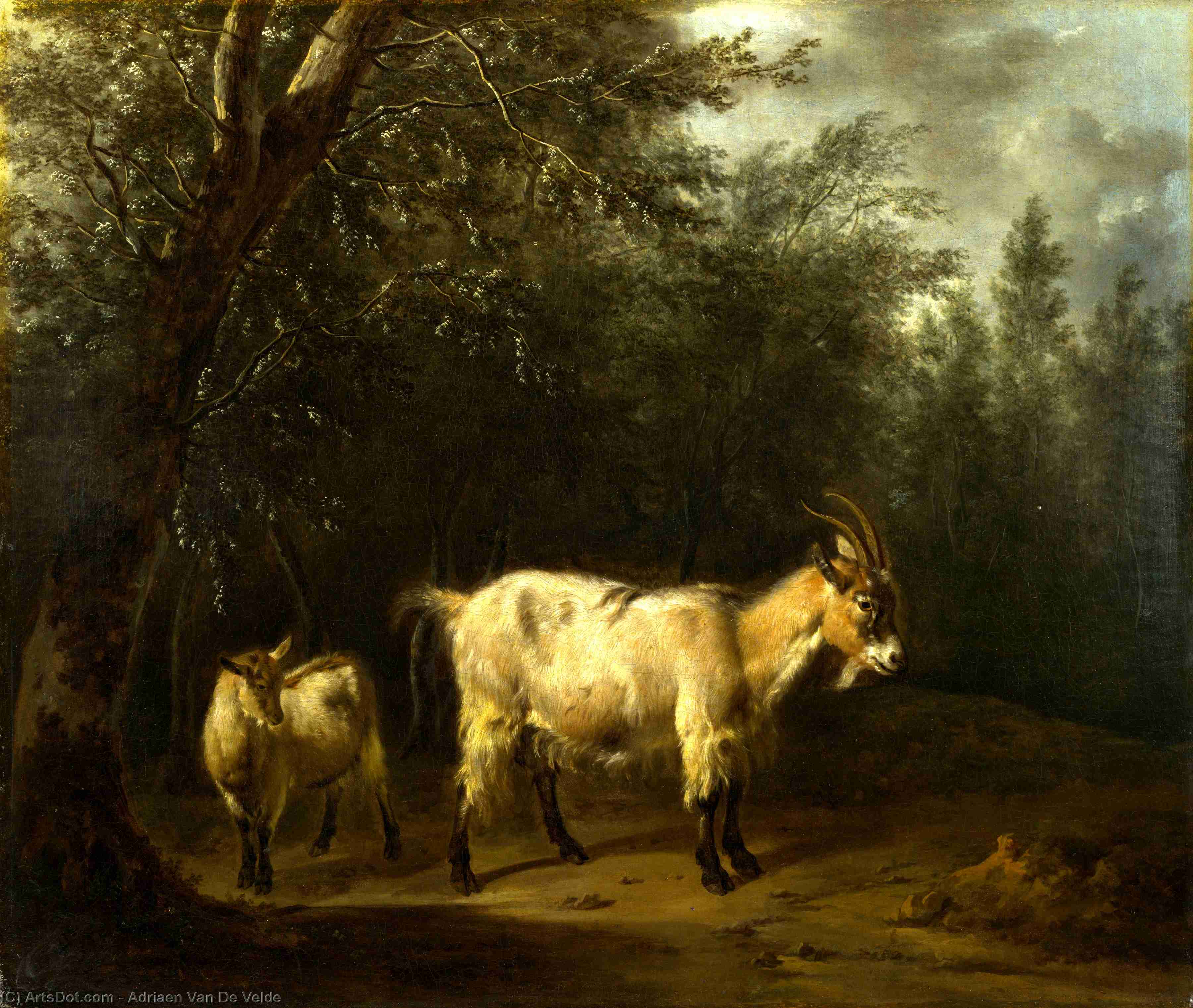 Wikioo.org - The Encyclopedia of Fine Arts - Painting, Artwork by Adriaen Van De Velde - A Goat and a Kid