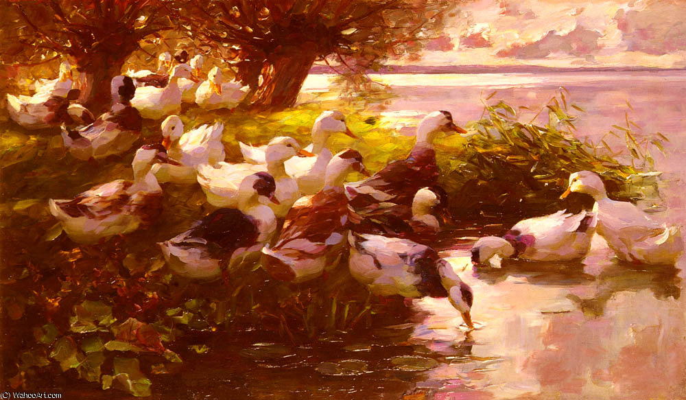 Wikioo.org - The Encyclopedia of Fine Arts - Painting, Artwork by Alexander Max Koeste - Ducks On A Lake