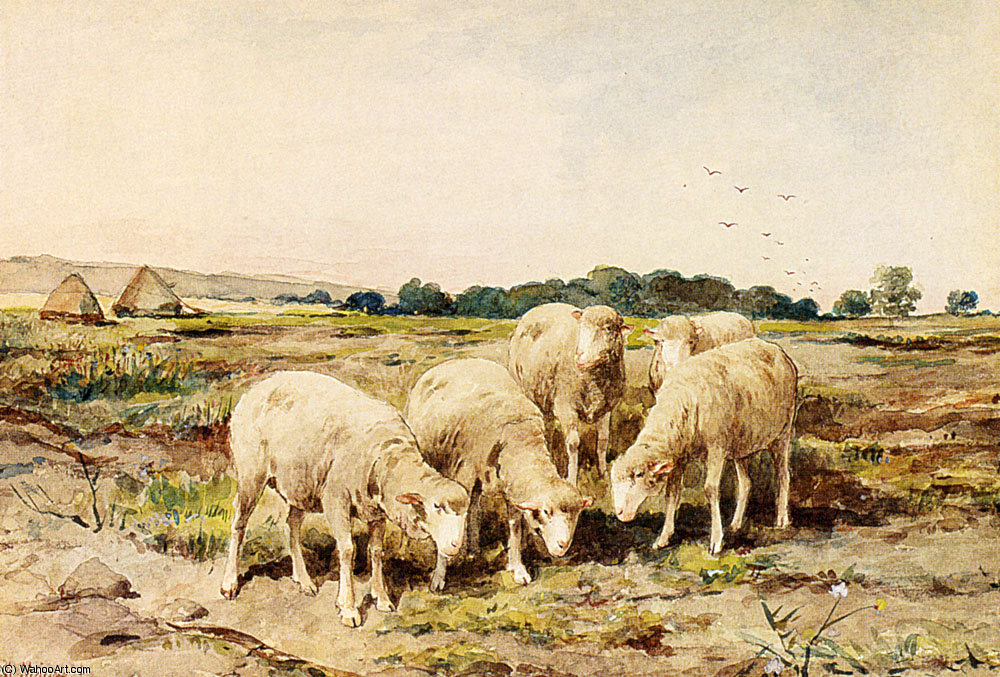 WikiOO.org - Εγκυκλοπαίδεια Καλών Τεχνών - Ζωγραφική, έργα τέχνης Anton Mauve - Grazing sheep
