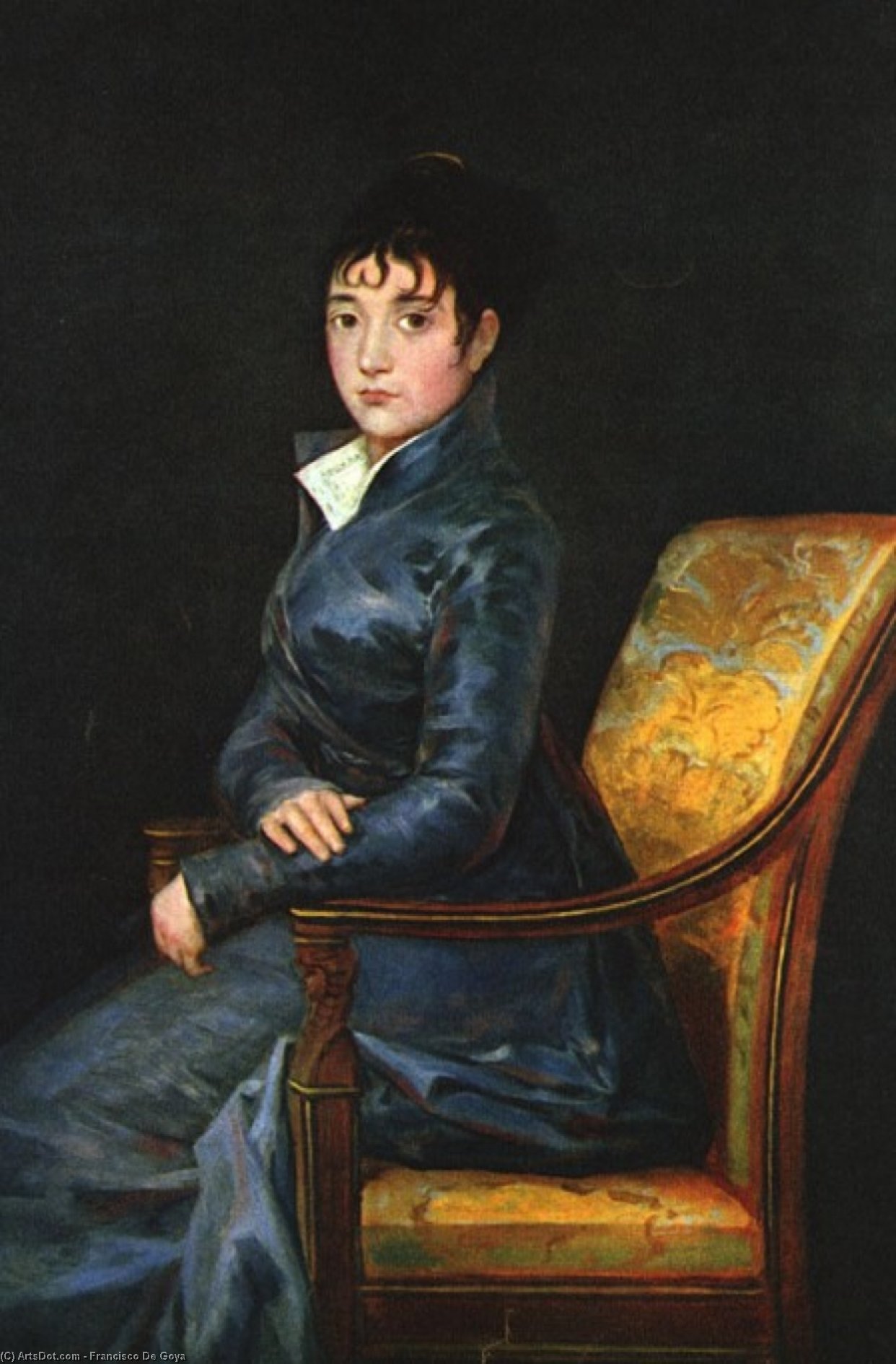 Wikioo.org – L'Enciclopedia delle Belle Arti - Pittura, Opere di Francisco De Goya - dona teresa sureda
