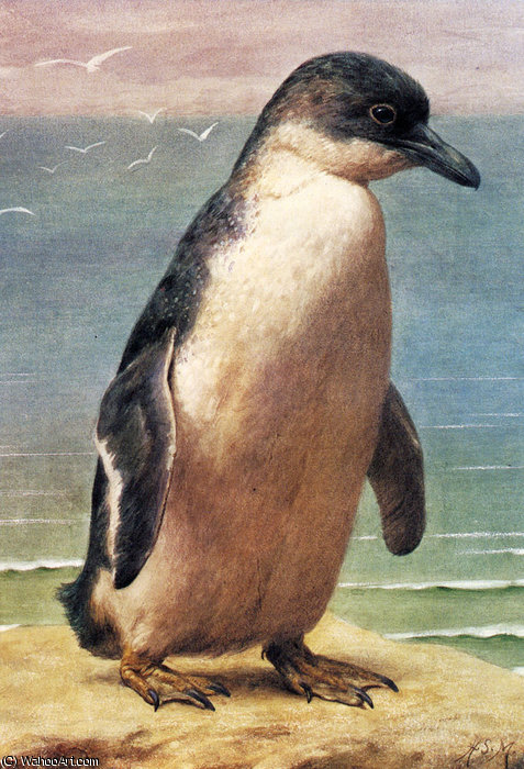 Wikioo.org - The Encyclopedia of Fine Arts - Painting, Artwork by Henry Stacy Marks - Study of a penguin