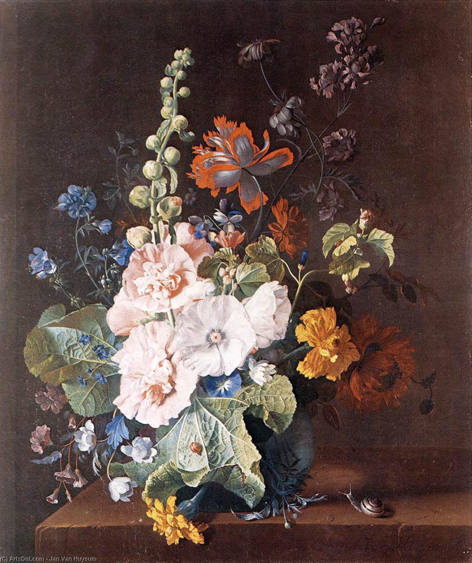 Wikioo.org - The Encyclopedia of Fine Arts - Painting, Artwork by Jan Van Huysum - Holycocks and other Flowers in a Vase