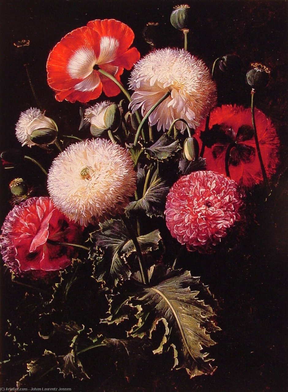 Wikioo.org - The Encyclopedia of Fine Arts - Painting, Artwork by Johan Laurentz Jensen - Still Life with Pink Red and White Poppies