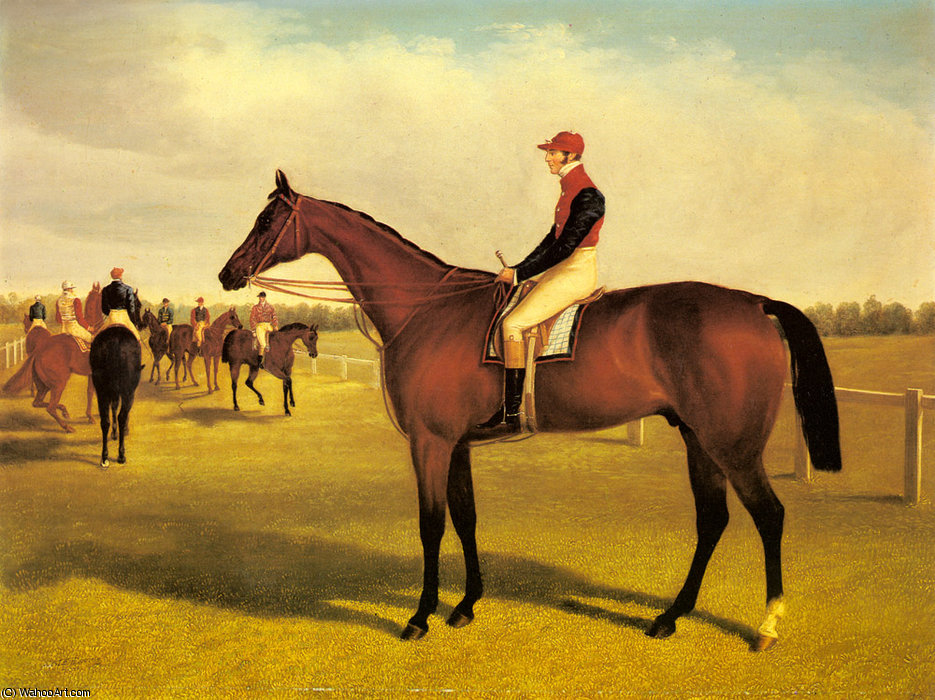 Wikioo.org - The Encyclopedia of Fine Arts - Painting, Artwork by John Frederick Herring Senior - don john the winner of the st leger with william scott up