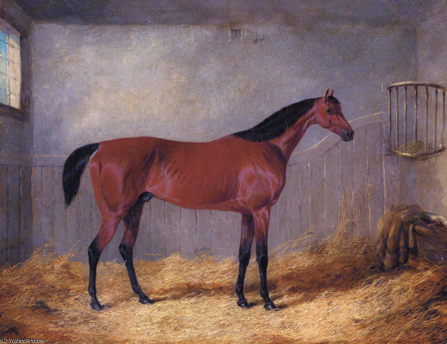 Wikioo.org - Bách khoa toàn thư về mỹ thuật - Vẽ tranh, Tác phẩm nghệ thuật John Frederick Herring Junior - the duke of graftons bolivar in a stable