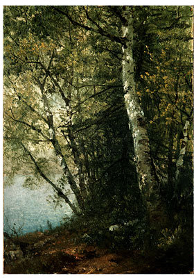 Wikioo.org - The Encyclopedia of Fine Arts - Painting, Artwork by John Frederick Kensett - study of beeches