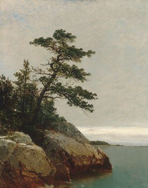 WikiOO.org - Encyclopedia of Fine Arts - Målning, konstverk John Frederick Kensett - the old pine darien connecticut