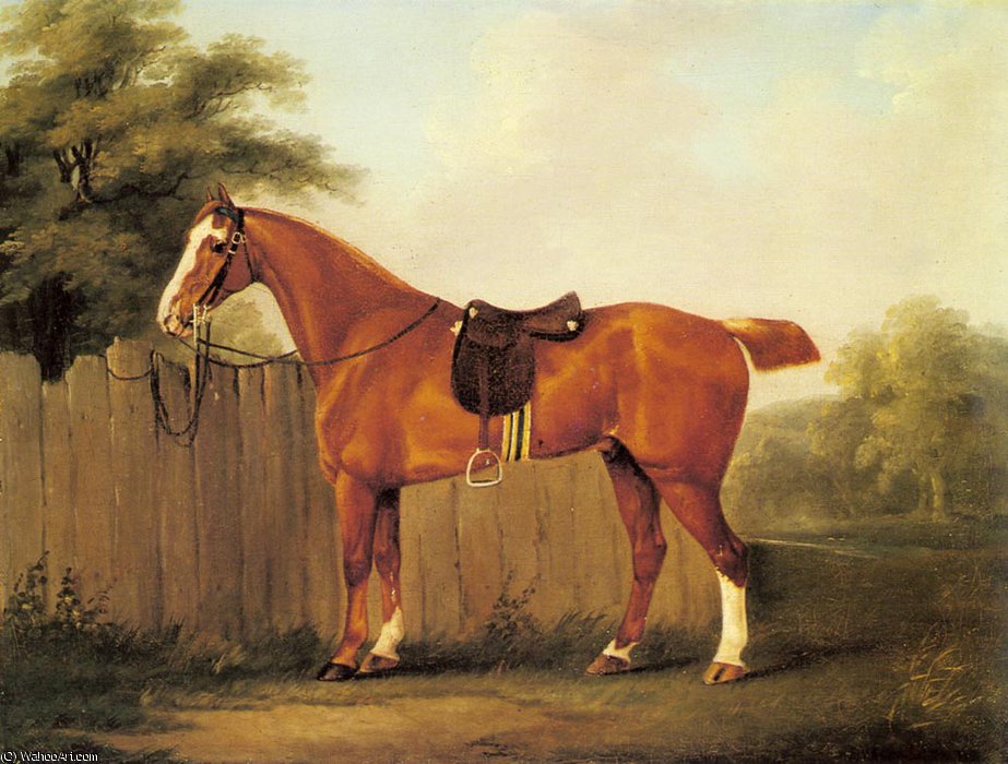 Wikioo.org - The Encyclopedia of Fine Arts - Painting, Artwork by John Nost Sartorius - A chestnut hunter tethered to a fence