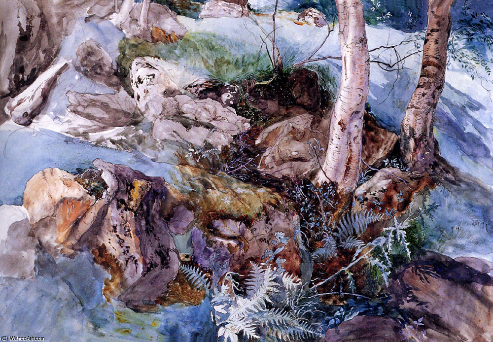 Wikioo.org – L'Encyclopédie des Beaux Arts - Peinture, Oeuvre de John Ruskin - Étude des le rocks et de fougères Crossmouth