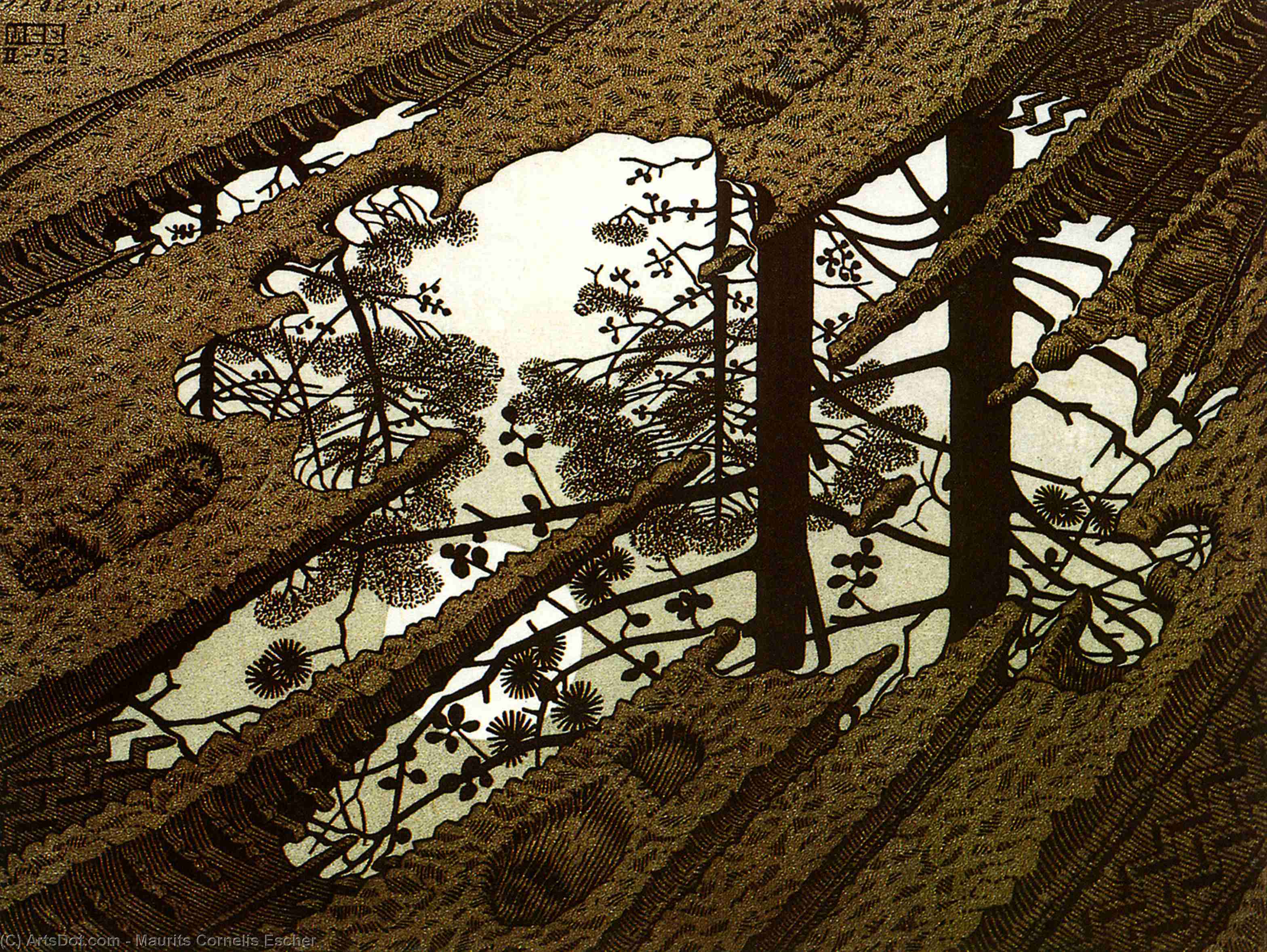 WikiOO.org - Encyclopedia of Fine Arts - Schilderen, Artwork Maurits Cornelis Escher - Puddle